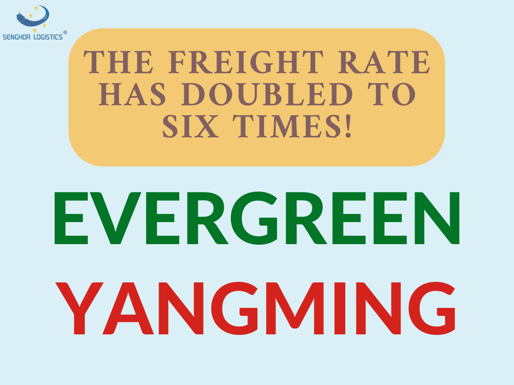 evergreen yangming yuk stavkasi senghor logistikasi tomonidan olti barobarga ikki baravar oshdi