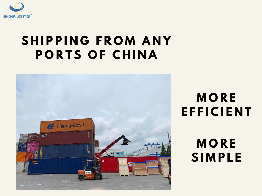 3Professional shipping agent sea freight china to usa senghor logistics