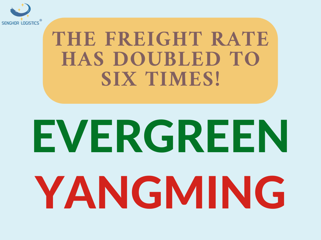 evergreen yangming freight rate doubled to six times by senghor logistics