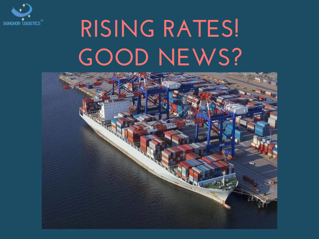 rising rates! good news, senghor logistics