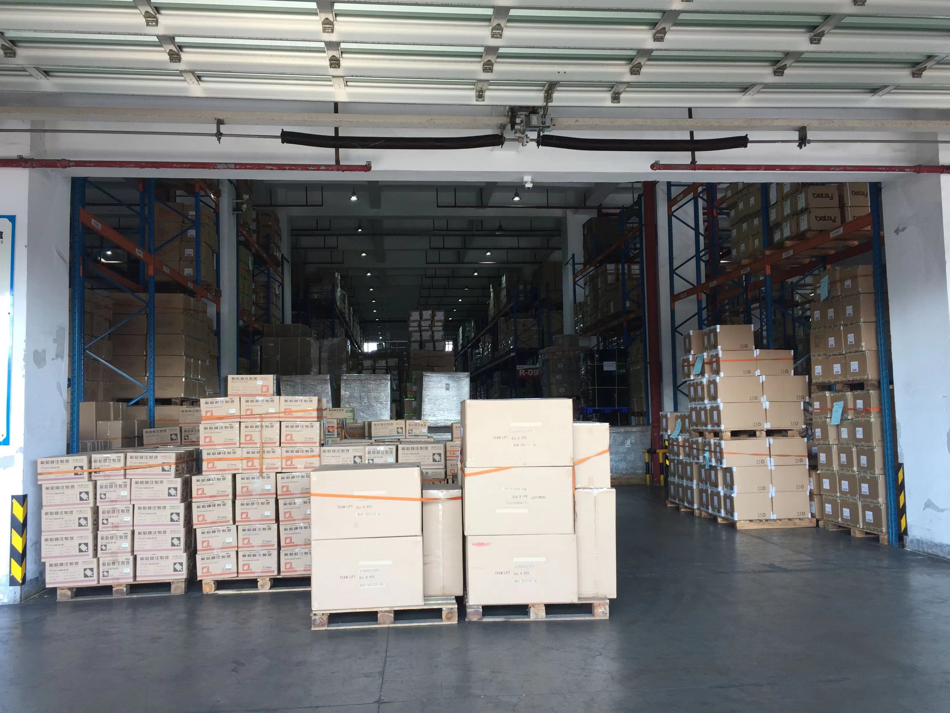 sea freight forwarder China to Germany senghor logistics03