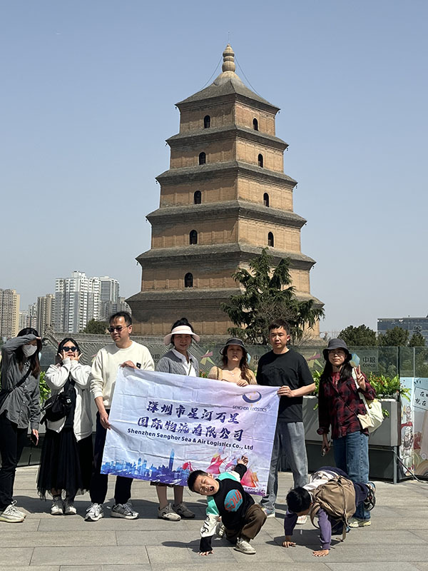 senghor-logistics-in-big-wild-goose-pagoda