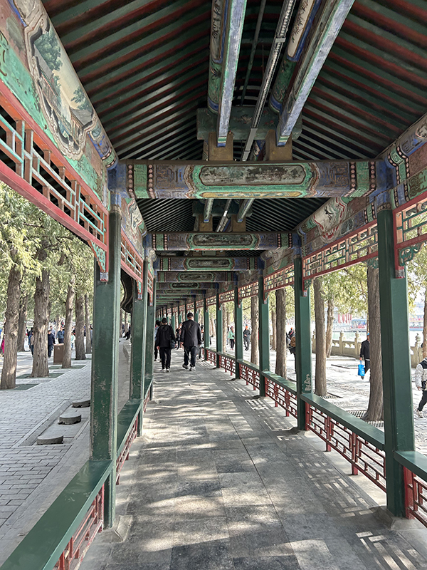 senghor logistics in summer palace-1