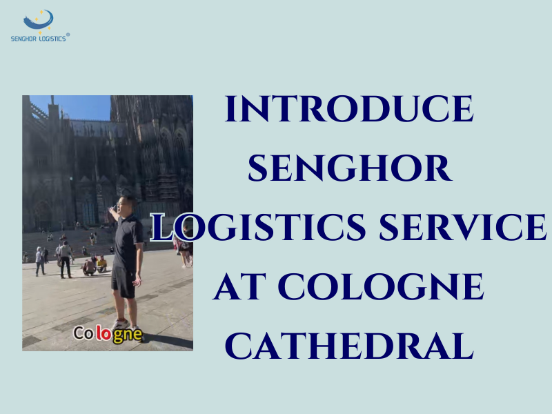 senghor logistics introduce shipping service
