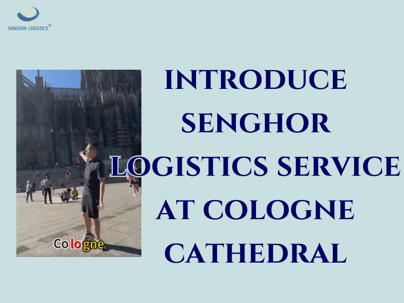 logistics sengor a’ toirt a-steach seirbheis luingeis