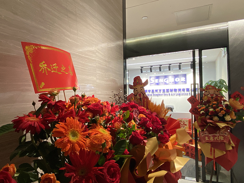 senghor-logistics-relocation