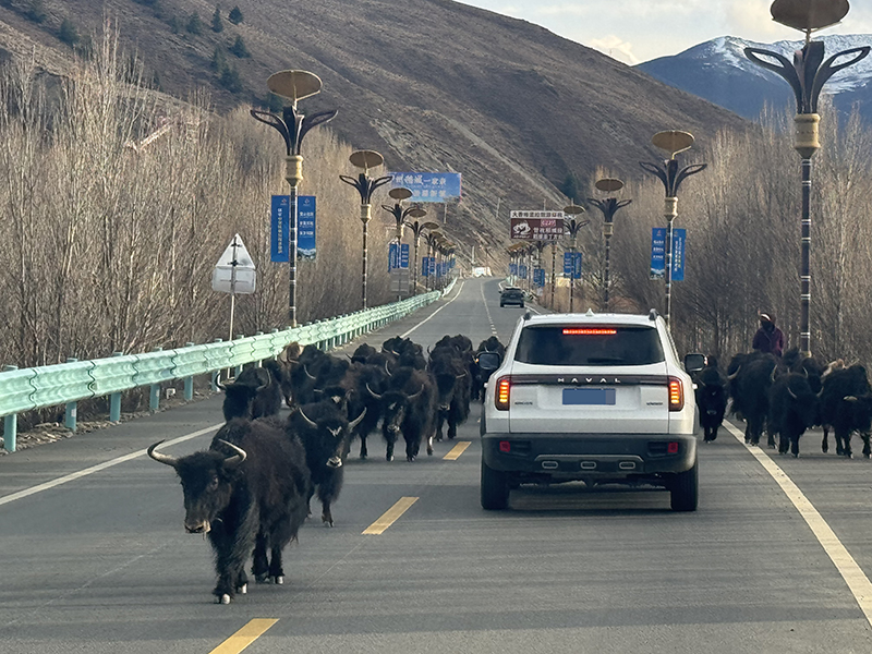 senghor-logistics-road-trip