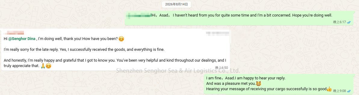 senghor-logistics-service-for-client-from-libya