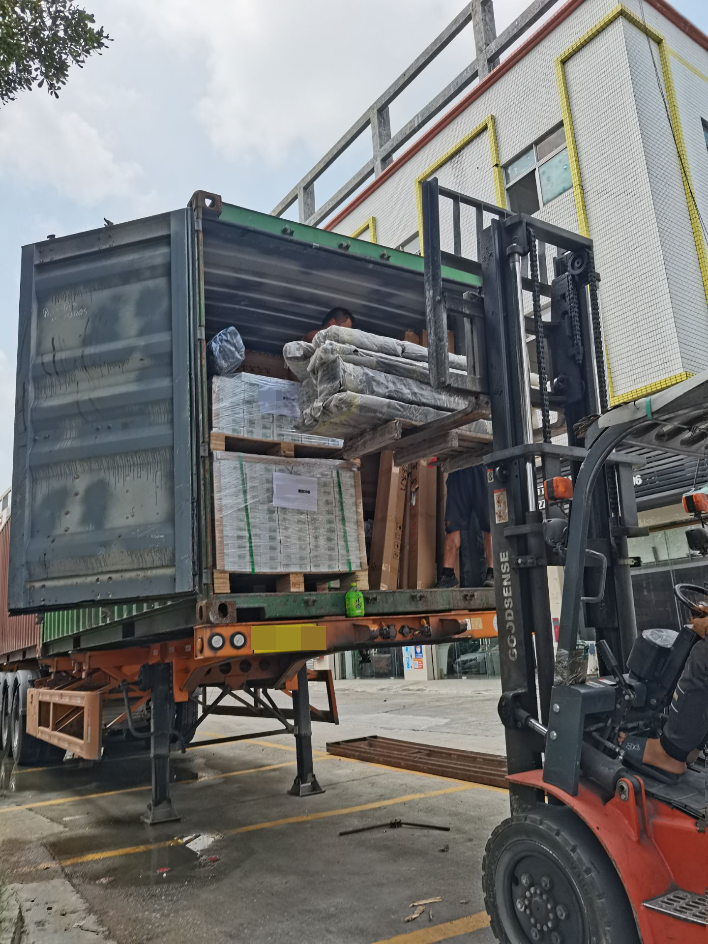 senghor logistics shipping from china to canada