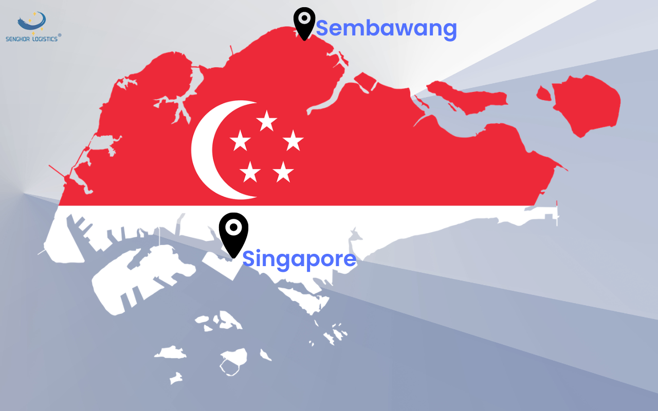 senghor logistics shipping from china to singapore