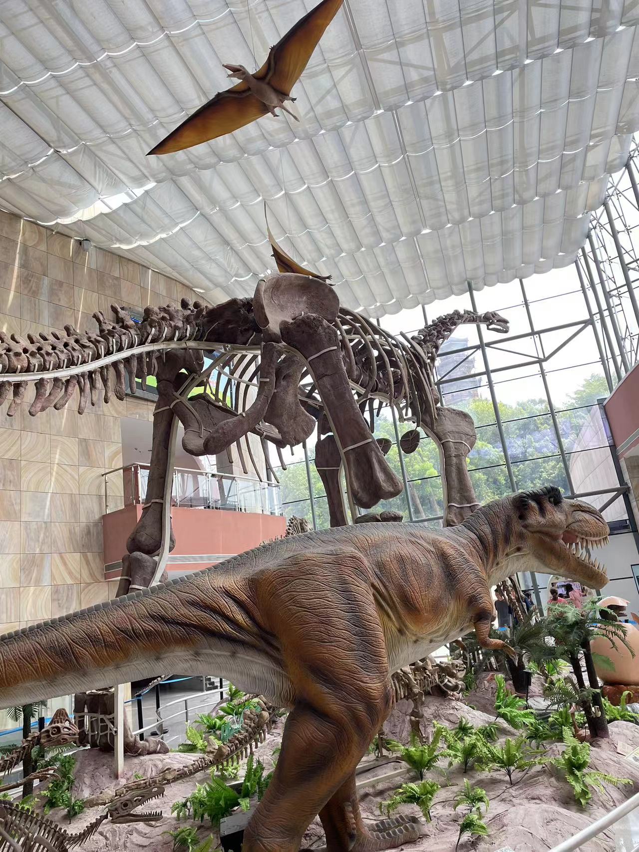senghor logistics team building dinosaur museum