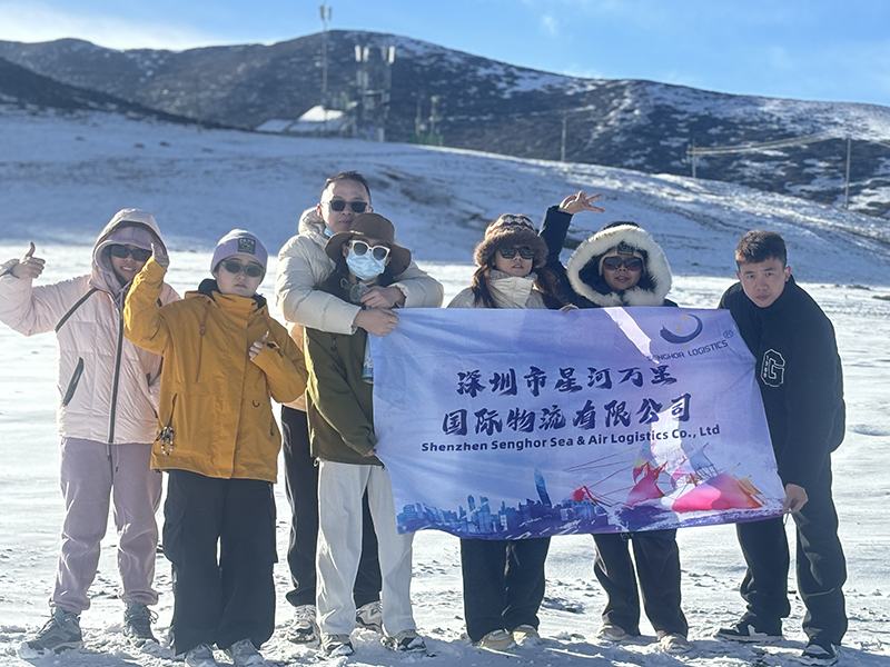 senghor-logistics-team