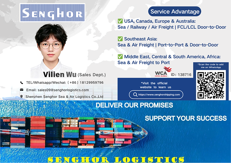 senghor-logistics-vilien-sales-name-card