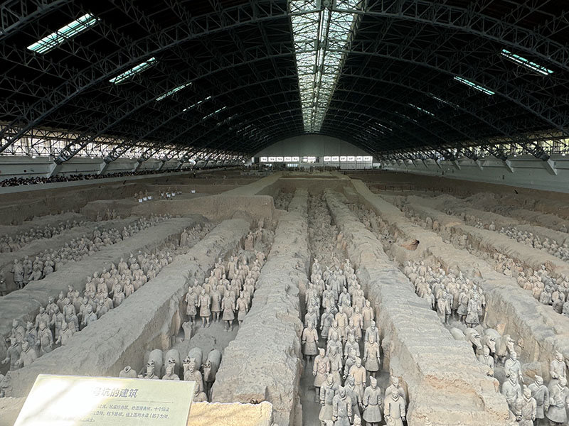 senghor-logistics-vised-terracotta-warriors