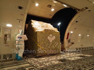senghor logistics air cargo type and size